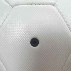 Pet ball,Blue Arc Sports