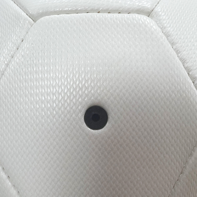 Pet ball,Blue Arc Sports
