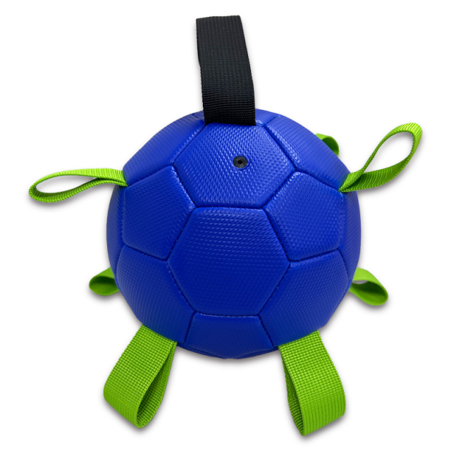 Pet ball,Blue Arc Sports