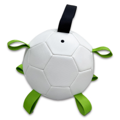Pet ball,Blue Arc Sports