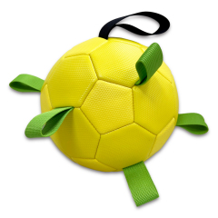 Triangular ball,Blue Arc Sports