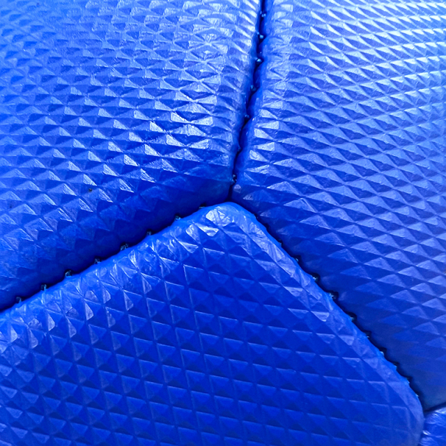 Pet ball,Blue Arc Sports