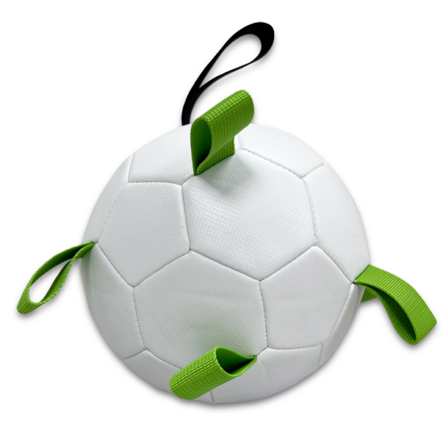 Pet ball,Blue Arc Sports