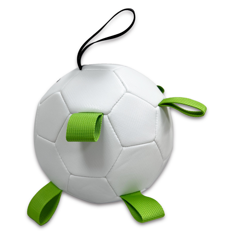 Pet ball,Blue Arc Sports