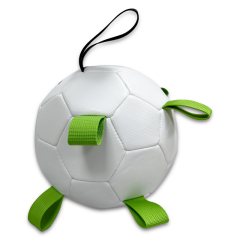 Pet ball,Blue Arc Sports