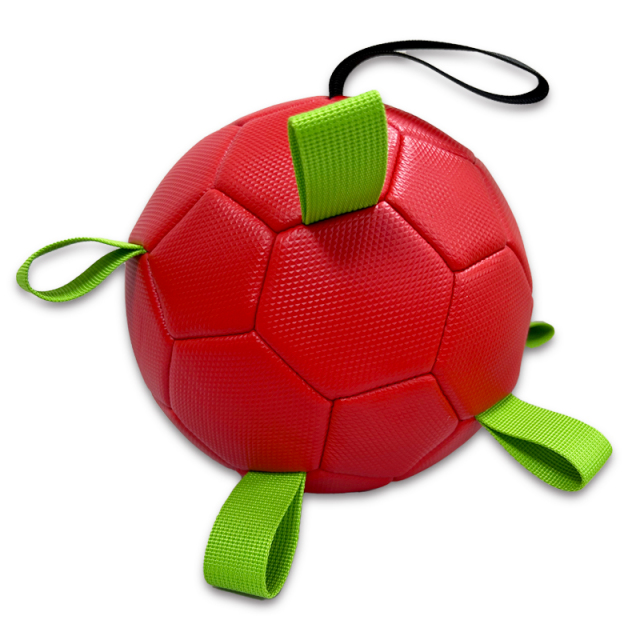 Pet ball,Blue Arc Sports