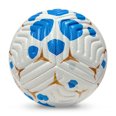 High Quality Size 5 Soccer Ball Machine-Sewn PVC with Print Logo for Sports Training Leisure Competitive Matches,بلو آرك سبورتس