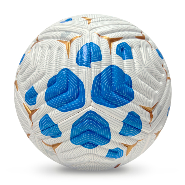 High Quality Size 5 Soccer Ball Machine-Sewn PVC with Print Logo for Sports Training Leisure Competitive Matches,بلو آرك سبورتس