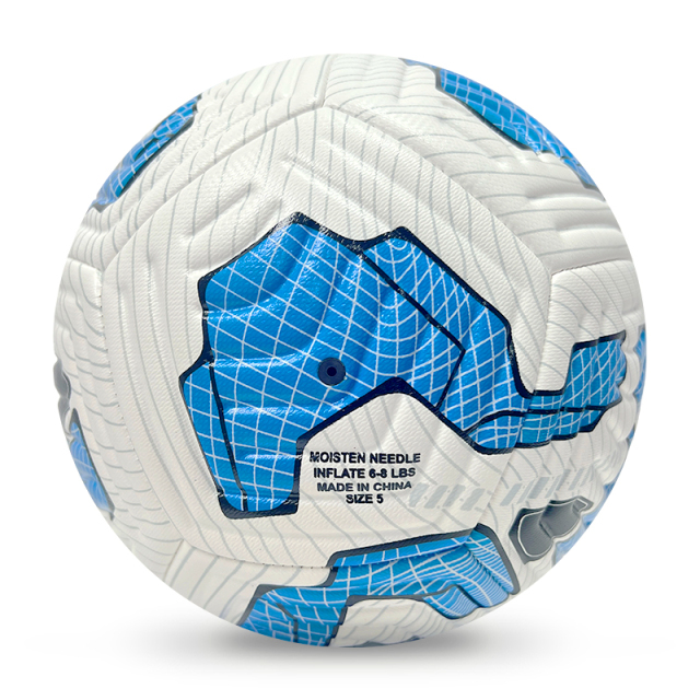 High Quality Size 5 Soccer Ball Machine-Sewn PVC with Print Logo for Sports Training Leisure Competitive Matches,Blue Arc Sports