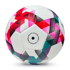 High Quality Size 5 Soccer Ball Machine-Sewn PVC with Print Logo for Sports Training Leisure Competitive Matches,ブルーアークスポーツ