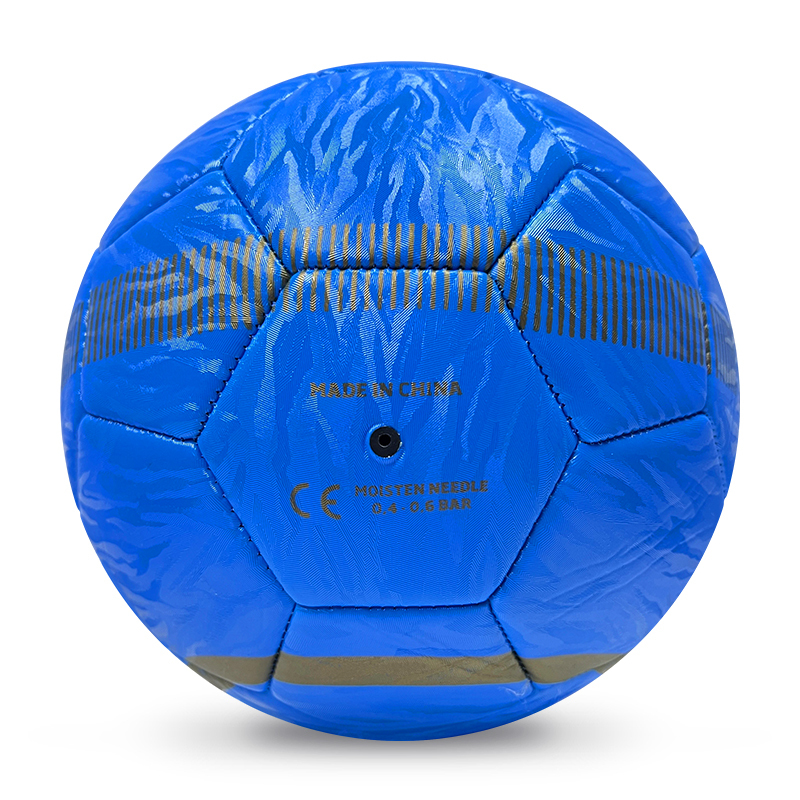 High Quality Size 5 Soccer Ball Machine-Sewn PVC with Print Logo for Sports Training Leisure Competitive Matches,ブルーアークスポーツ