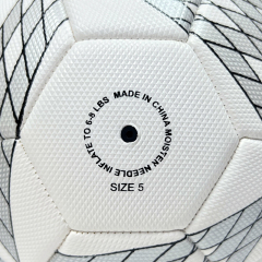 High Quality Size 5 Soccer Ball Machine-Sewn PVC with Print Logo for Sports Training Leisure Competitive Matches,ブルーアークスポーツ