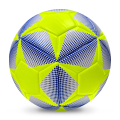 High Quality Size 5 Soccer Ball Machine-Sewn PVC with Print Logo for Sports Training Leisure Competitive Matches,Arc Bleu Sports