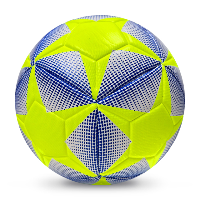 High Quality Size 5 Soccer Ball Machine-Sewn PVC with Print Logo for Sports Training Leisure Competitive Matches,Arc Bleu Sports