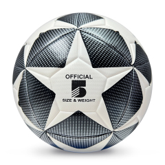 High Quality Size 5 Soccer Ball Machine-Sewn PVC with Print Logo for Sports Training Leisure Competitive Matches,Arc Bleu Sports