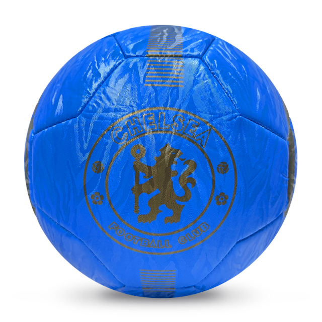 High Quality Size 5 Soccer Ball Machine-Sewn PVC with Print Logo for Sports Training Leisure Competitive Matches,ブルーアークスポーツ