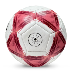High Quality Size 5 Soccer Ball Machine-Sewn PVC with Print Logo for Sports Training Leisure Competitive Matches,Arc Bleu Sports