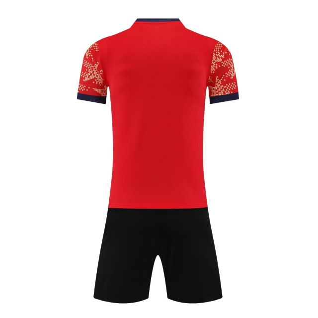 Euro 2025 High Quality Soccer Wear Top Style Football Jerseys Printed Name Men Adults Kids National Teams Focusing Germany,Blue Arc Sports