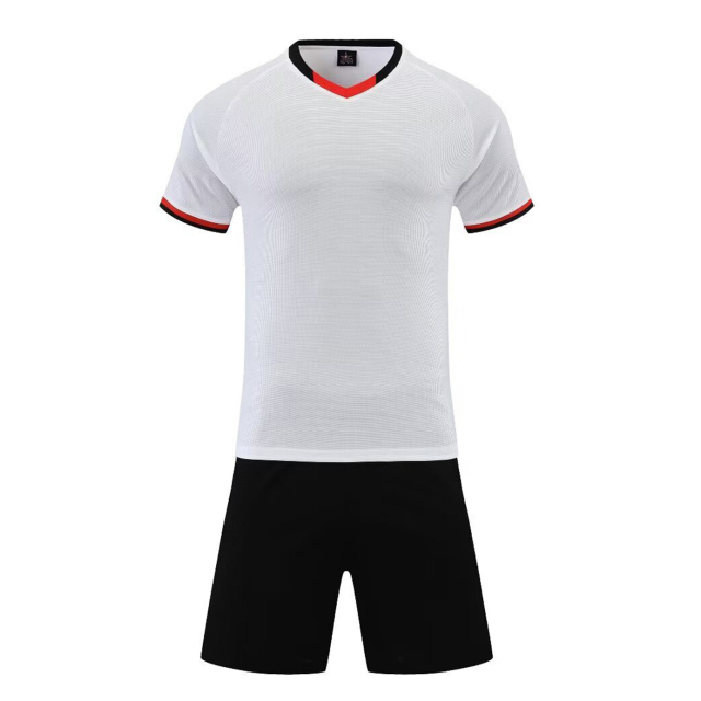 Euro 2025 High Quality Soccer Wear Top Style Football Jerseys Printed Name Men Adults Kids National Teams Focusing Germany,Blue Arc Sports