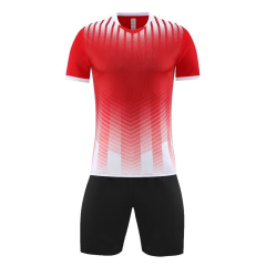Euro 2025 High Quality Soccer Wear Top Style Football Jerseys Printed Name Men Adults Kids National Teams Focusing Germany,Blue Arc Sports