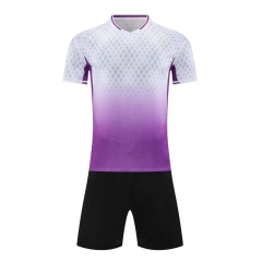 Euro 2025 High Quality Soccer Wear Top Style Football Jerseys Printed Name Men Adults Kids National Teams Focusing Germany,Blue Arc Sports