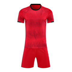 Euro 2025 High Quality Soccer Wear Top Style Football Jerseys Printed Name Men Adults Kids National Teams Focusing Germany,Blue Arc Sports