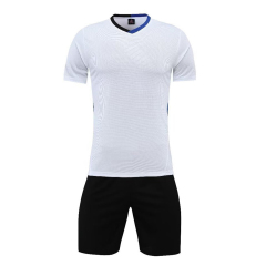 Euro 2025 High Quality Soccer Wear Top Style Football Jerseys Printed Name Men Adults Kids National Teams Focusing Germany,Blue Arc Sports