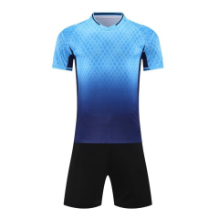 Euro 2025 High Quality Soccer Wear Top Style Football Jerseys Printed Name Men Adults Kids National Teams Focusing Germany,Blue Arc Sports