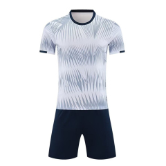 Euro 2025 High Quality Soccer Wear Top Style Football Jerseys Printed Name Men Adults Kids National Teams Focusing Germany,Blue Arc Sports