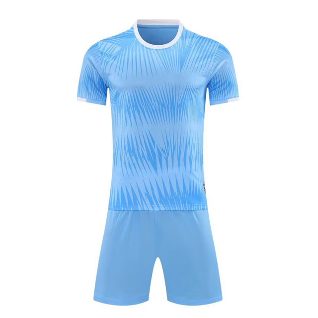 Euro 2025 High Quality Soccer Wear Top Style Football Jerseys Printed Name Men Adults Kids National Teams Focusing Germany,Blue Arc Sports