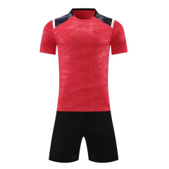 Euro 2024/2025 High Quality Soccer Wear Top Style Football Jerseys Printed Name Men Adults Kids National Teams Focusing Germany,Blue Arc Sports