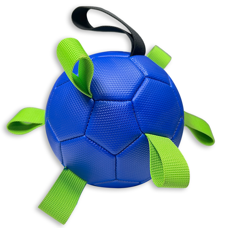 Pet ball,Blue Arc Sports