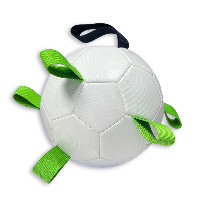 Pet ball,Blue Arc Sports