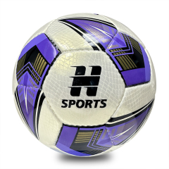 High Quality Hand-Stitched 4 Size Low Bounce Football for Youth Soccer Training Custom Logo Available Factory Direct Sale,蓝弧体育