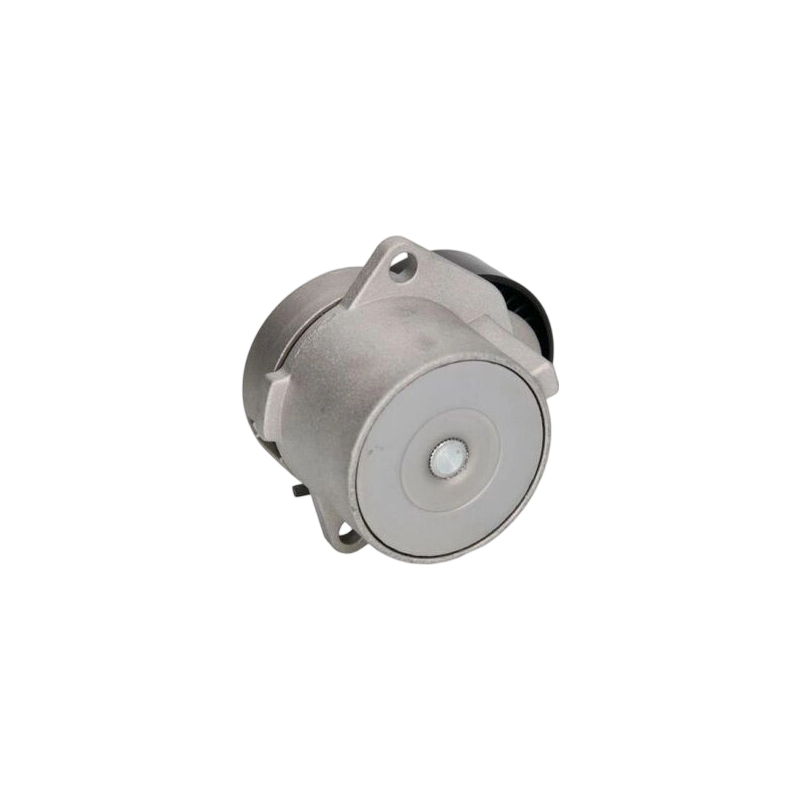 Serpentine Belt Tensioner Pulley OE 11281247647 for BMW Engine System