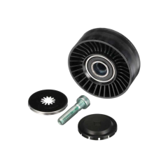 Serpentine Belt Tensioner Pulley OE 11287556251 for BMW Engine System