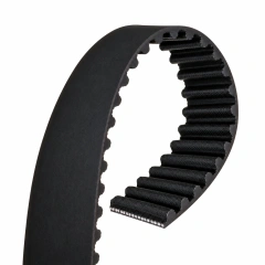 Representative automotive timing belt cutaway showing inner teeth, a smooth backing and embedded reinforcement cords