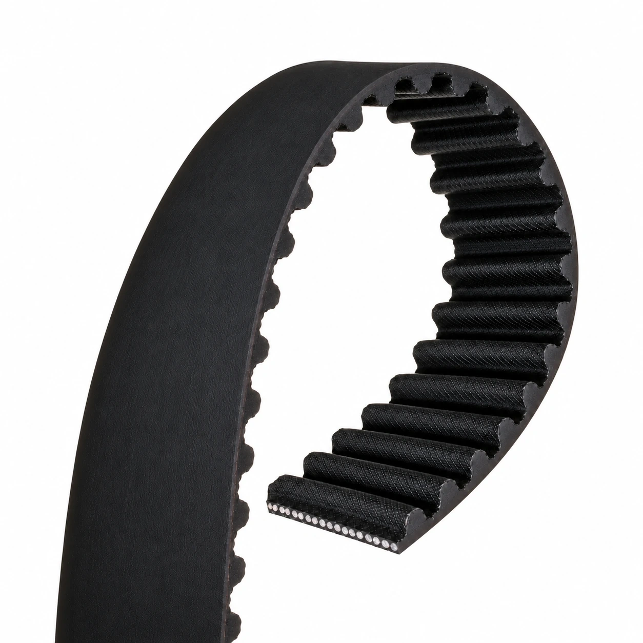 Representative automotive timing belt cutaway showing inner teeth, a smooth backing and embedded reinforcement cords