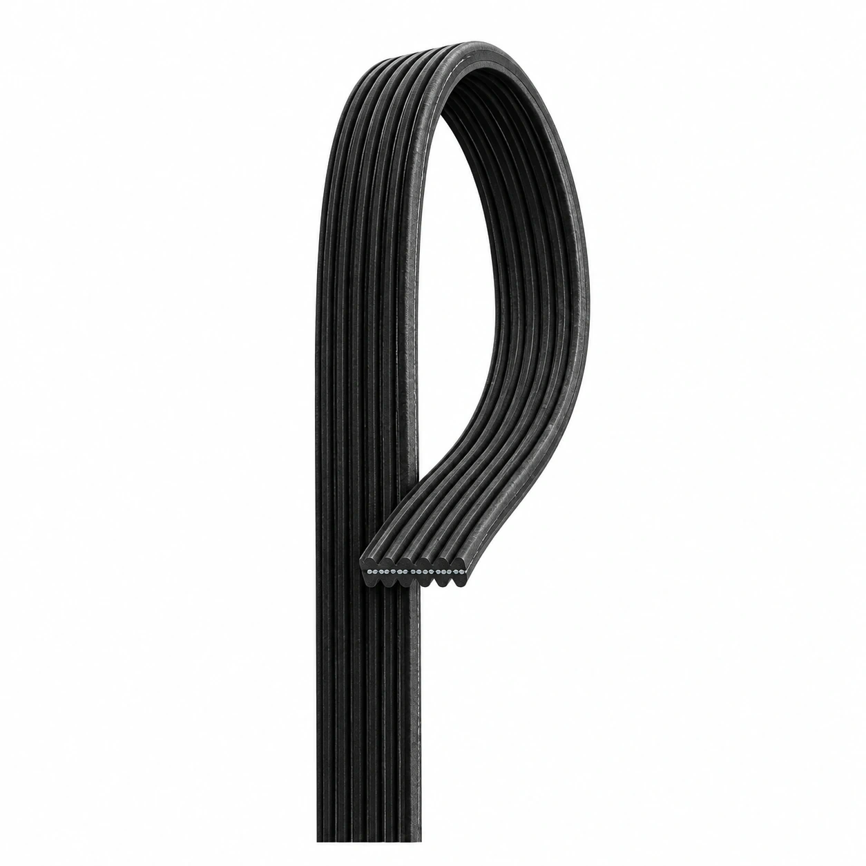 Representative double-sided automotive multi-V belt cutaway showing ribbed inner and outer surfaces and embedded reinforcement cords