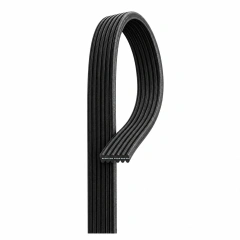 Representative double-sided automotive multi-V belt cutaway showing ribbed inner and outer surfaces and embedded reinforcement cords
