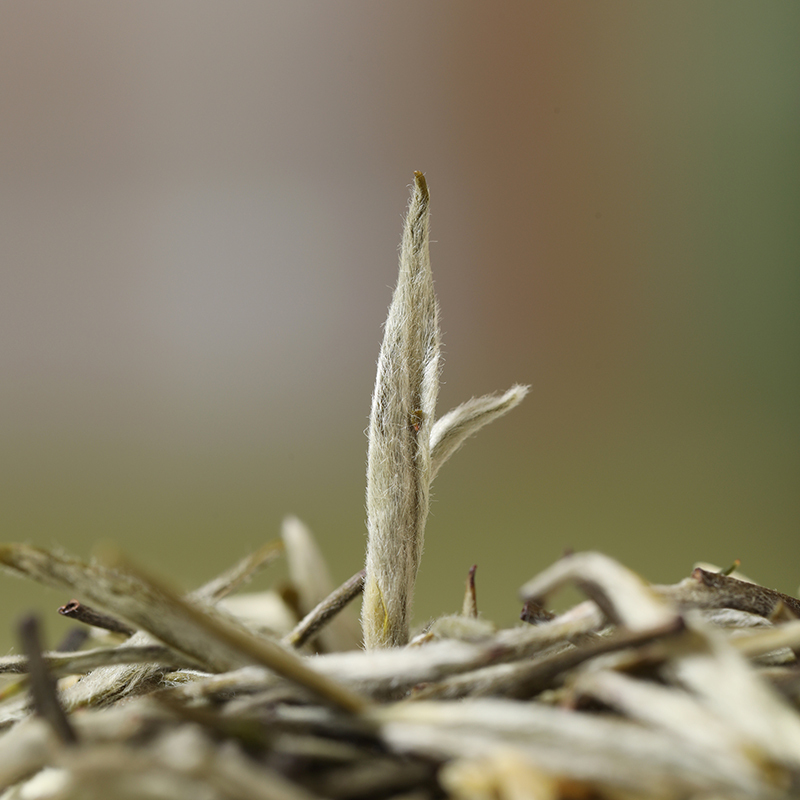 moliyinzhen