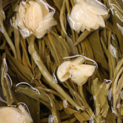 molipiaoxue