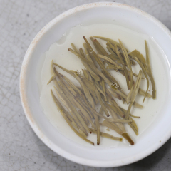 xinyangmaojian