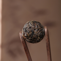 gushulongzhushengcha