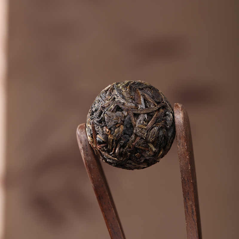gushulongzhushengcha
