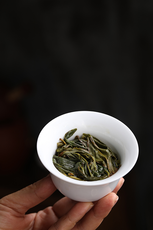 choushiyashixiang