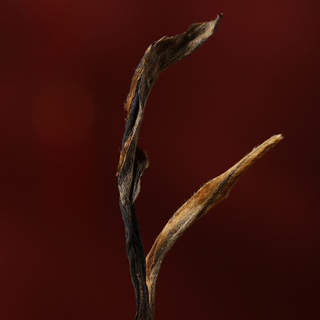 Arbor Sun-Dried Red Tea