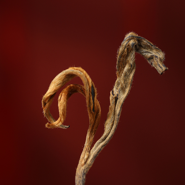 Arbor Sun-Dried Red Tea