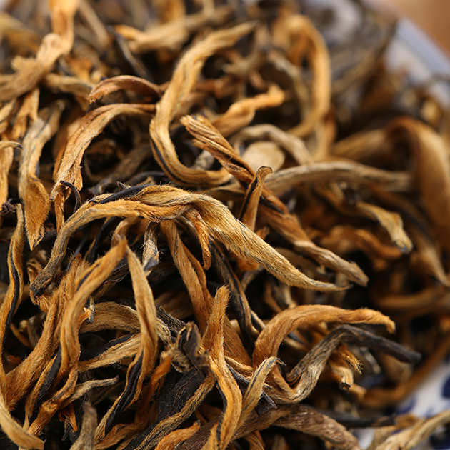 Golden Hairy Tip