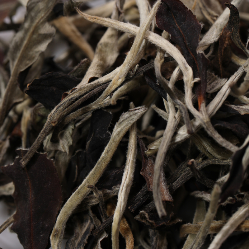 Jingmai Moonlight White Tea